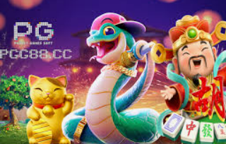 pg国际2024最新版